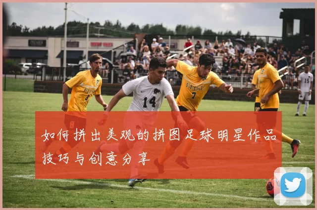 如何拼出美观的拼图足球明星作品技巧与创意分享