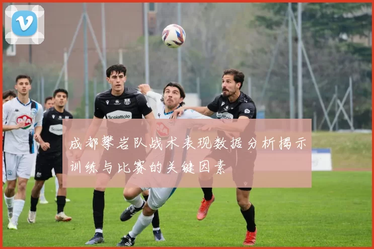 成都攀岩队战术表现数据分析揭示训练与比赛的关键因素