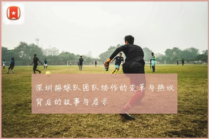 深圳排球队团队协作的变革与热议背后的故事与启示