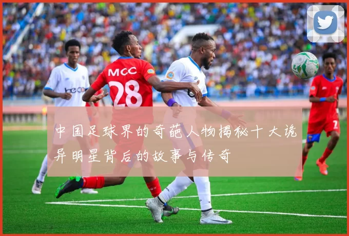 中国足球界的奇葩人物揭秘十大诡异明星背后的故事与传奇