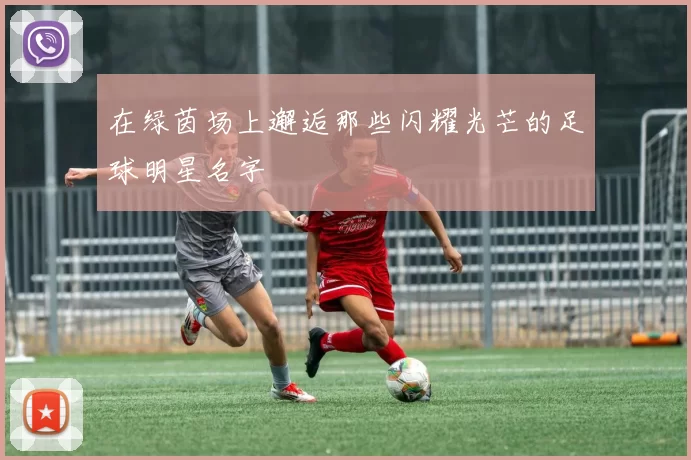 在绿茵场上邂逅那些闪耀光芒的足球明星名字