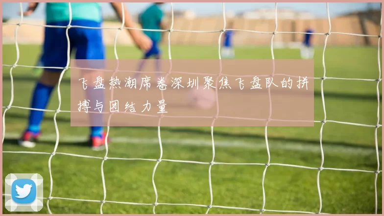 飞盘热潮席卷深圳聚焦飞盘队的拼搏与团结力量