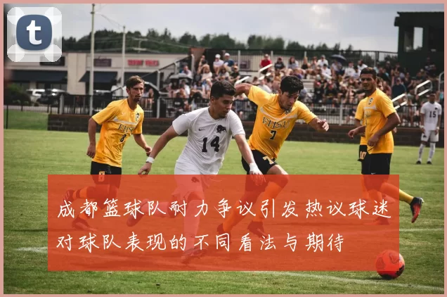 成都篮球队耐力争议引发热议球迷对球队表现的不同看法与期待