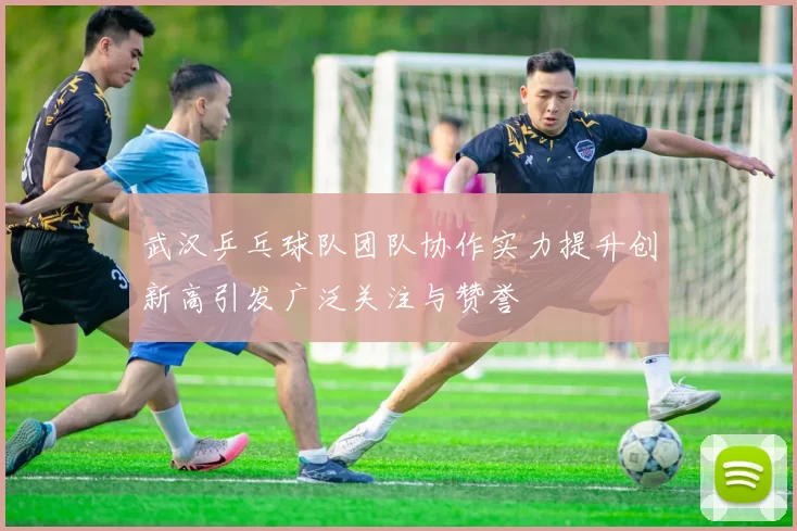 武汉乒乓球队团队协作实力提升创新高引发广泛关注与赞誉