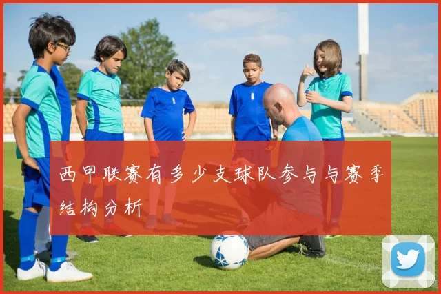 西甲联赛有多少支球队参与与赛季结构分析