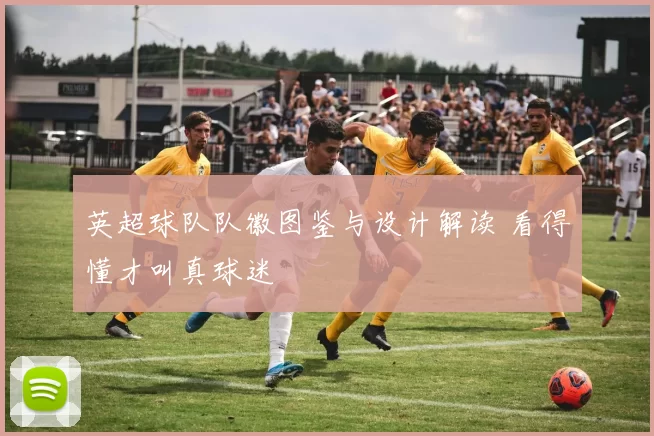 英超球队队徽图鉴与设计解读 看得懂才叫真球迷