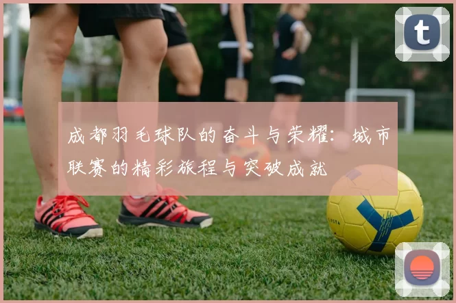 成都羽毛球队的奋斗与荣耀：城市联赛的精彩旅程与突破成就
