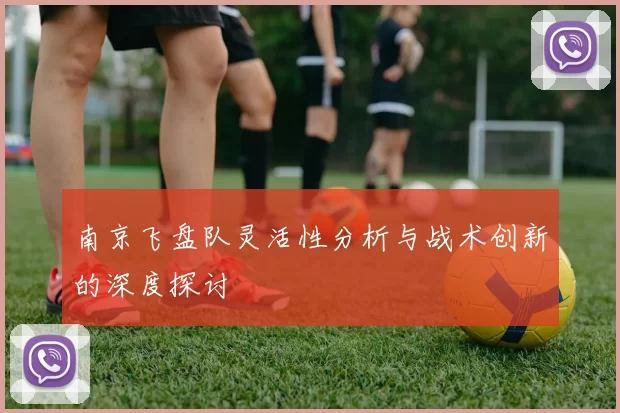 南京飞盘队灵活性分析与战术创新的深度探讨