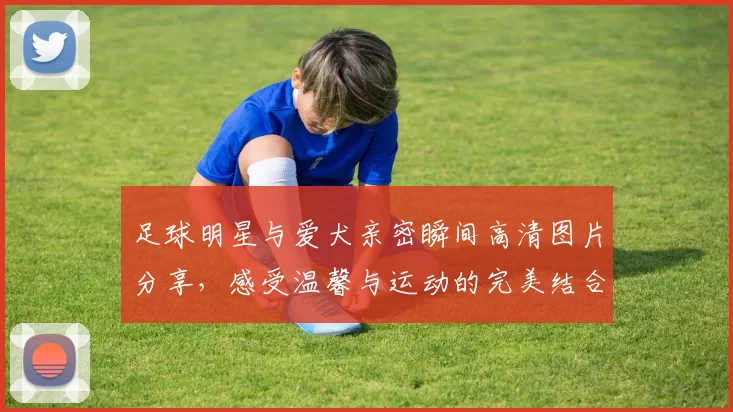 足球明星与爱犬亲密瞬间高清图片分享，感受温馨与运动的完美结合