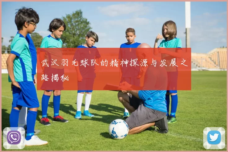 武汉羽毛球队的精神探源与发展之路揭秘