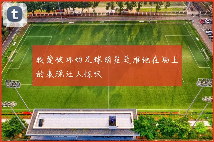 我爱破坏的足球明星是谁他在场上的表现让人惊叹
