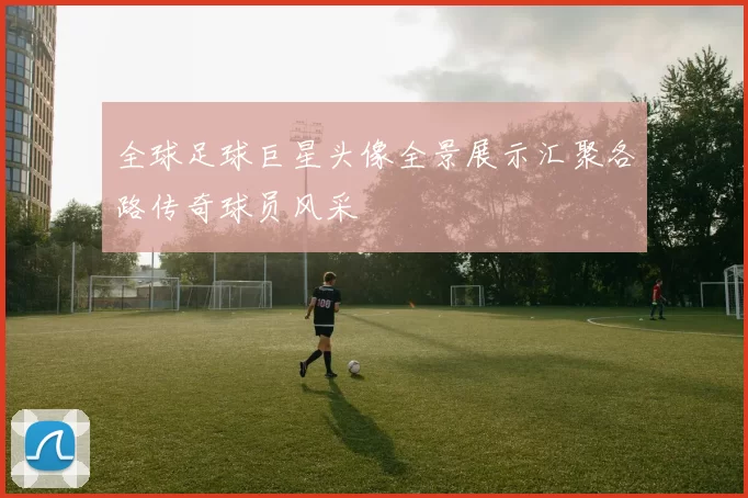 全球足球巨星头像全景展示汇聚各路传奇球员风采