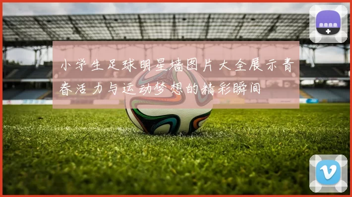 小学生足球明星墙图片大全展示青春活力与运动梦想的精彩瞬间