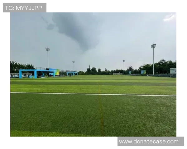 西安飞盘队比赛经验深度对比与分析探讨